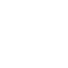 Vector 4